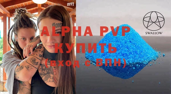 ГАЛЛЮЦИНОГЕННЫЕ ГРИБЫ Верея